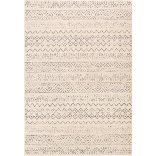 Surya City Light CYL-2309 Area Rug at Creative Carpet & Flooring