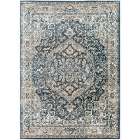 Surya Davaro DAV-2310 Area Rug at Creative Carpet & Flooring