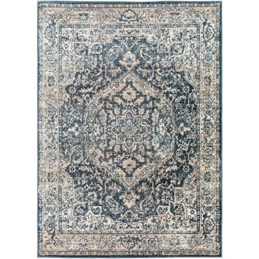 Surya Davaro DAV-2310 Area Rug at Creative Carpet & Flooring