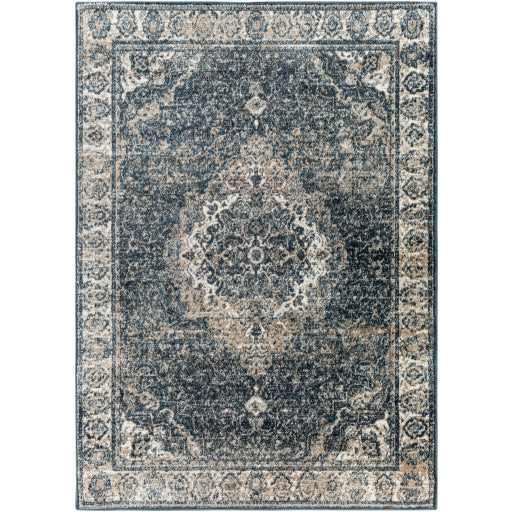 Surya Davaro DAV-2314 Area Rug at Creative Carpet & Flooring