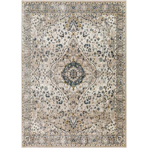 Surya Davaro DAV-2318 Area Rug at Creative Carpet & Flooring