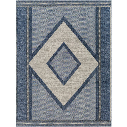 Surya Delphi DEP-2302 Area Rug at Creative Carpet & Flooring