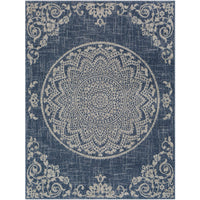 Surya Delphi DEP-2303 Area Rug at Creative Carpet & Flooring