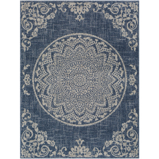 Surya Delphi DEP-2303 Area Rug at Creative Carpet & Flooring