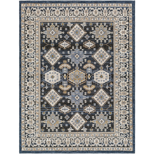 Surya Delphi DEP-2307 Area Rug at Creative Carpet & Flooring