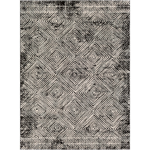 Surya Dersim DSM-2307 Area Rug at Creative Carpet & Flooring