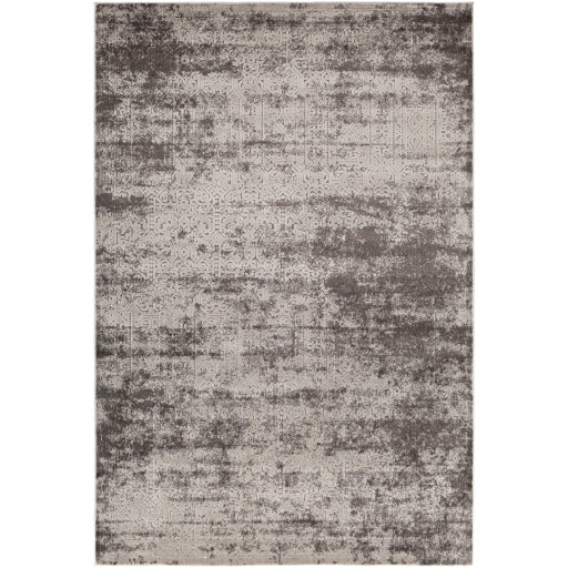 Surya Dantel DTL-2303 Area Rug at Creative Carpet & Flooring