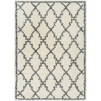 Surya Deluxe Shag DXS-2306 Area Rug at Creative Carpet & Flooring