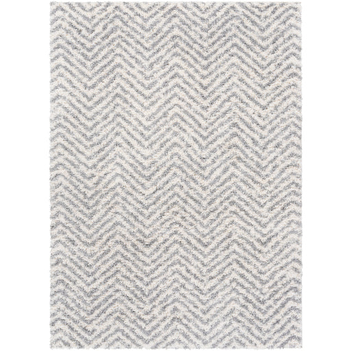 Surya Deluxe Shag DXS-2307 Area Rug at Creative Carpet & Flooring