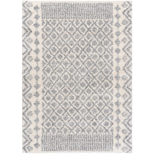 Surya Deluxe Shag DXS-2308 Area Rug at Creative Carpet & Flooring