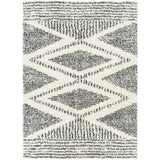 Surya Deluxe Shag DXS-2309 Area Rug at Creative Carpet & Flooring