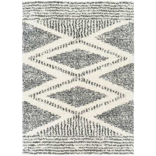 Surya Deluxe Shag DXS-2309 Area Rug at Creative Carpet & Flooring