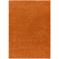 Surya Deluxe Shag DXS-2322 Area Rug at Creative Carpet & Flooring