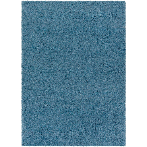 Surya Deluxe Shag DXS-2325 Area Rug at Creative Carpet & Flooring