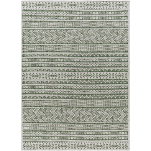 Surya Eagean EAG-2425 Area Rug at Creative Carpet & Flooring