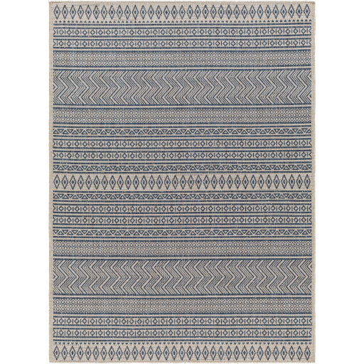 Surya Eagean EAG-2428 Area Rug at Creative Carpet & Flooring