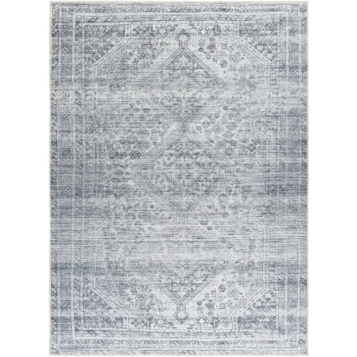 Surya Embrace EMA-2312 Area Rug at Creative Carpet & Flooring