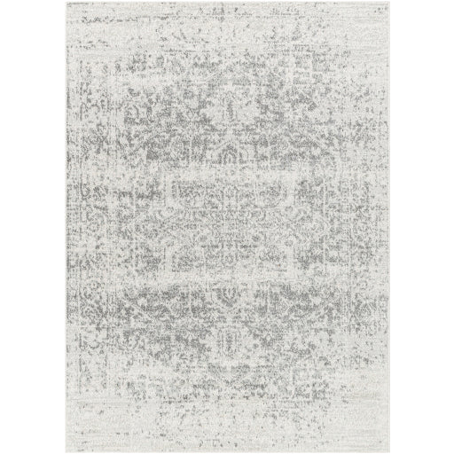 Surya Harput HAP-1024 Area Rug at Creative Carpet & Flooring