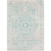 Surya Harput HAP-1026 Area Rug at Creative Carpet & Flooring