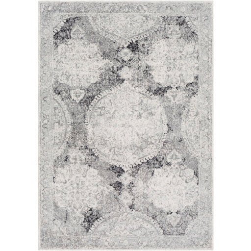 Surya Harput HAP-1041 Area Rug at Creative Carpet & Flooring