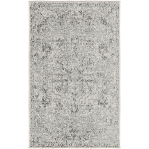 Surya Harput HAP-1069 Area Rug at Creative Carpet & Flooring