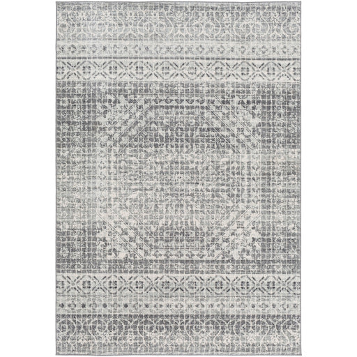 Surya Harput HAP-1080 Area Rug at Creative Carpet & Flooring