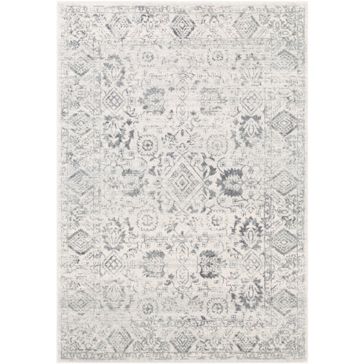 Surya Harput HAP-1091 Area Rug at Creative Carpet & Flooring