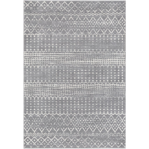 Surya Harput HAP-1096 Area Rug at Creative Carpet & Flooring