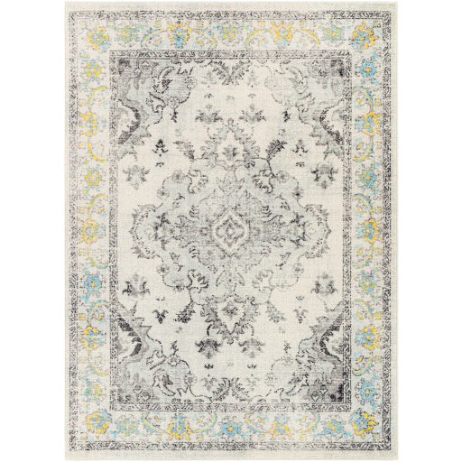 Surya Harput HAP-1121 Area Rug at Creative Carpet & Flooring