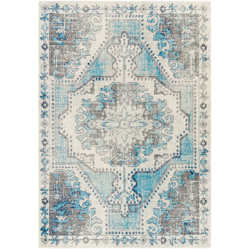 Surya Harput HAP-1130 Area Rug at Creative Carpet & Flooring