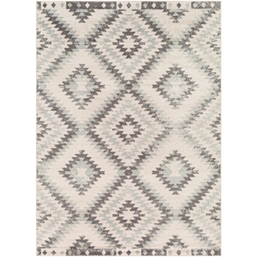 Surya Harput HAP-1139 Area Rug at Creative Carpet & Flooring