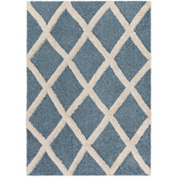 Surya Hudson Shag HDS-2301 Area Rug at Creative Carpet & Flooring