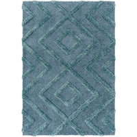 Surya Hudson Shag HDS-2302 Area Rug at Creative Carpet & Flooring