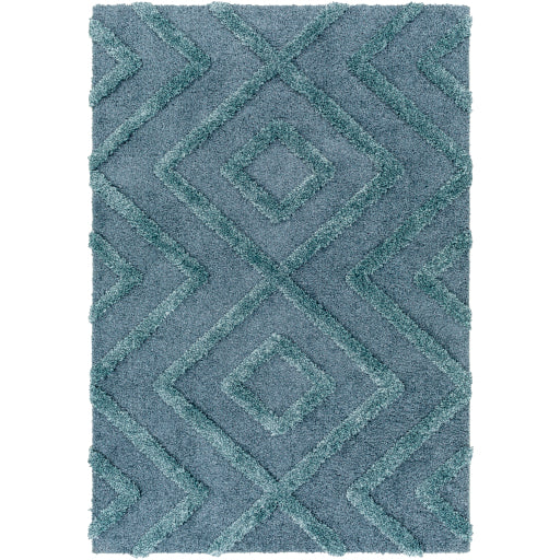 Surya Hudson Shag HDS-2302 Area Rug at Creative Carpet & Flooring