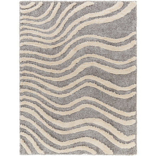 Surya Hudson Shag HDS-2307 Area Rug at Creative Carpet & Flooring