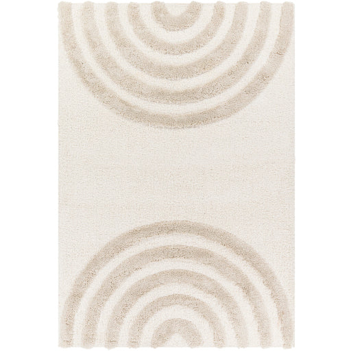 Surya Hudson Shag HDS-2308 Area Rug at Creative Carpet & Flooring