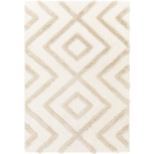 Surya Hudson Shag HDS-2309 Area Rug at Creative Carpet & Flooring