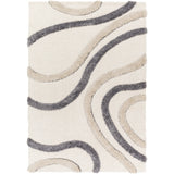 Surya Hudson Shag HDS-2313 Area Rug at Creative Carpet & Flooring