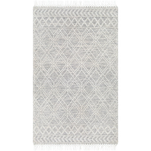 Surya Hemingway HMG-2300 Area Rug at Creative Carpet & Flooring