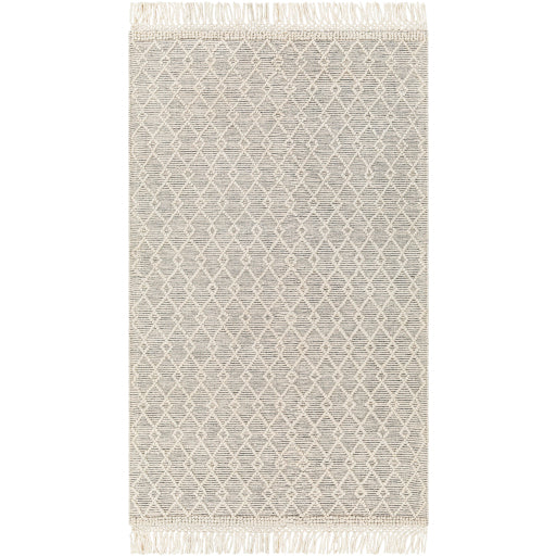 Surya Hemingway HMG-2304 Area Rug at Creative Carpet & Flooring