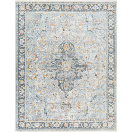 Surya Hassler HSL-2307 Area Rug at Creative Carpet & Flooring