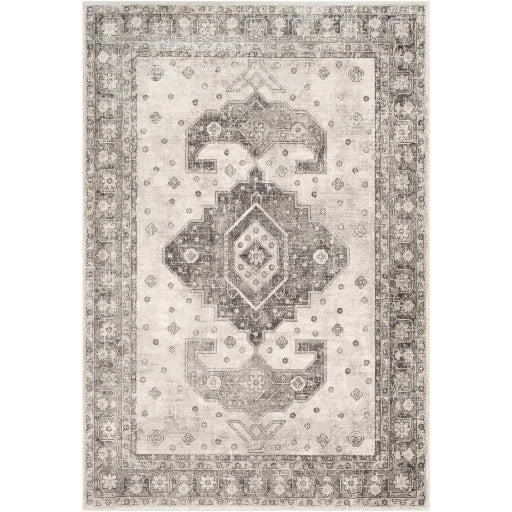 Surya Indigo IGO-2322 Area Rug at Creative Carpet & Flooring