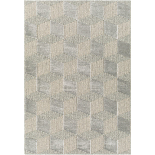 Surya Kingston KGS-2302 Area Rug