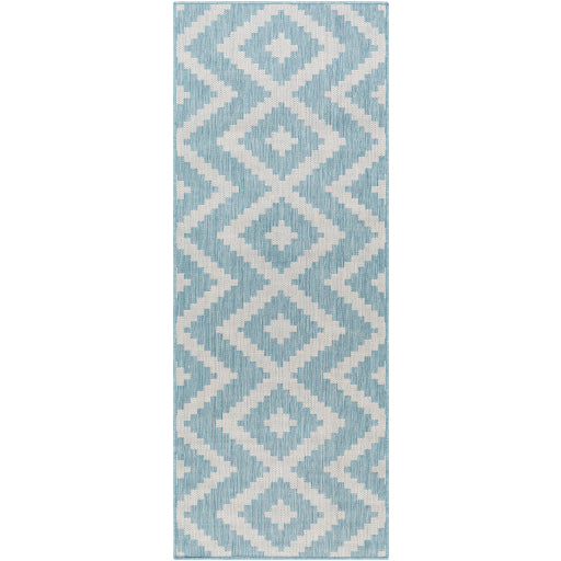 Surya Long Beach LBH-2315 Area Rug