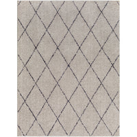 Surya Lykke LKK-2302 Area Rug