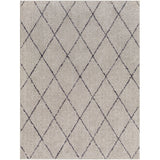 Surya Lykke LKK-2302 Area Rug