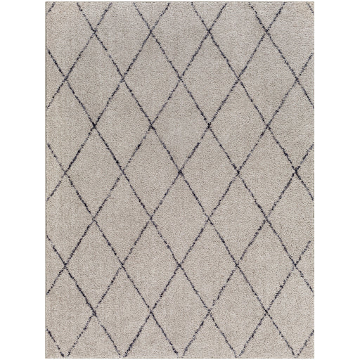 Surya Lykke LKK-2302 Area Rug