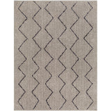 Surya Lykke LKK-2304 Area Rug