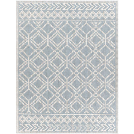 Surya Montego Bay MBY-2314 Area Rug