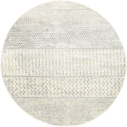 Surya Monaco MOC-2306 Area Rug